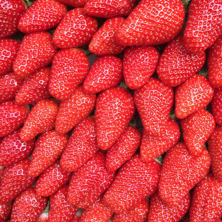 Strawberries