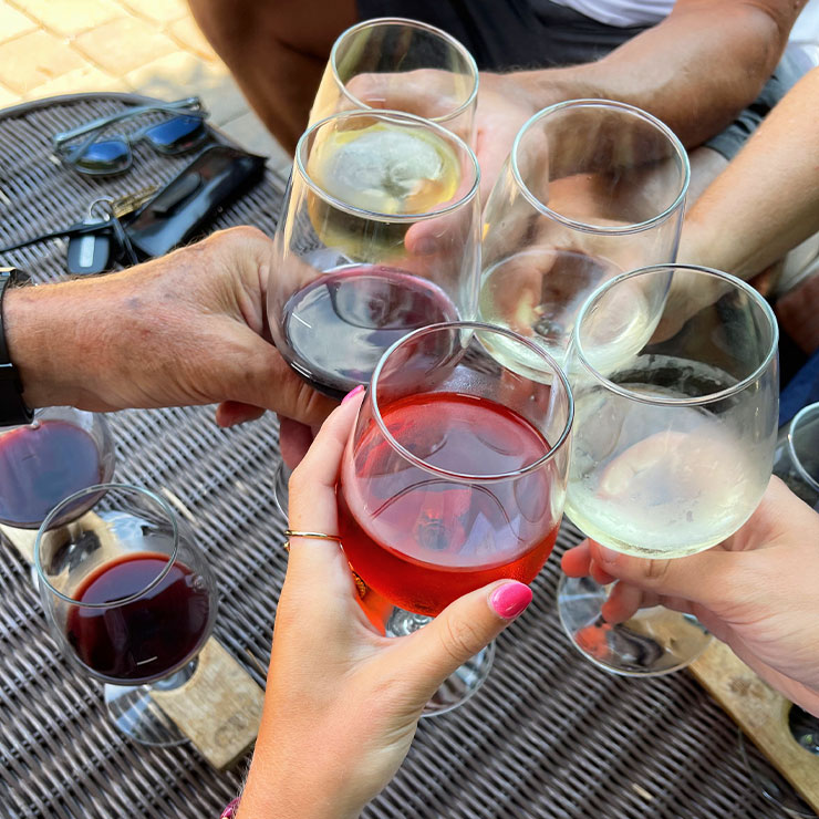 A group of people holding wine glasses