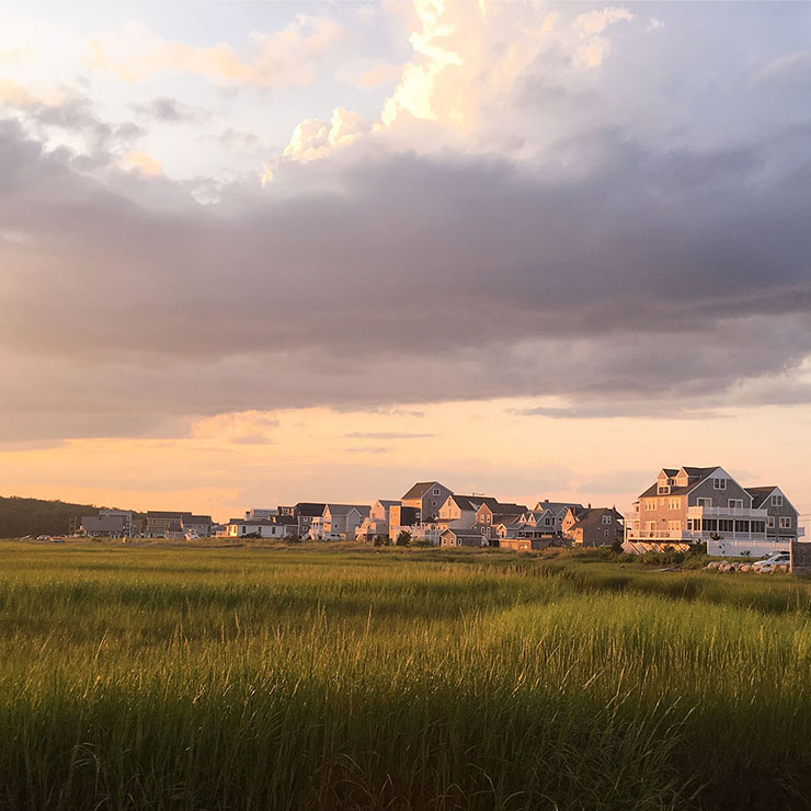 Marsh view