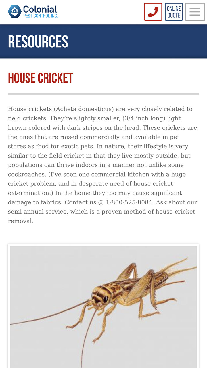 Colonial pest mobile pest glossary screen