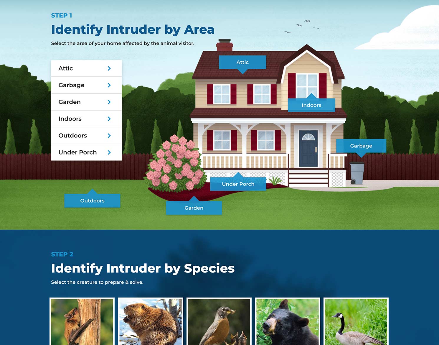 Intruder Excluder website with illustration of home and various types of species who can intrude homes
