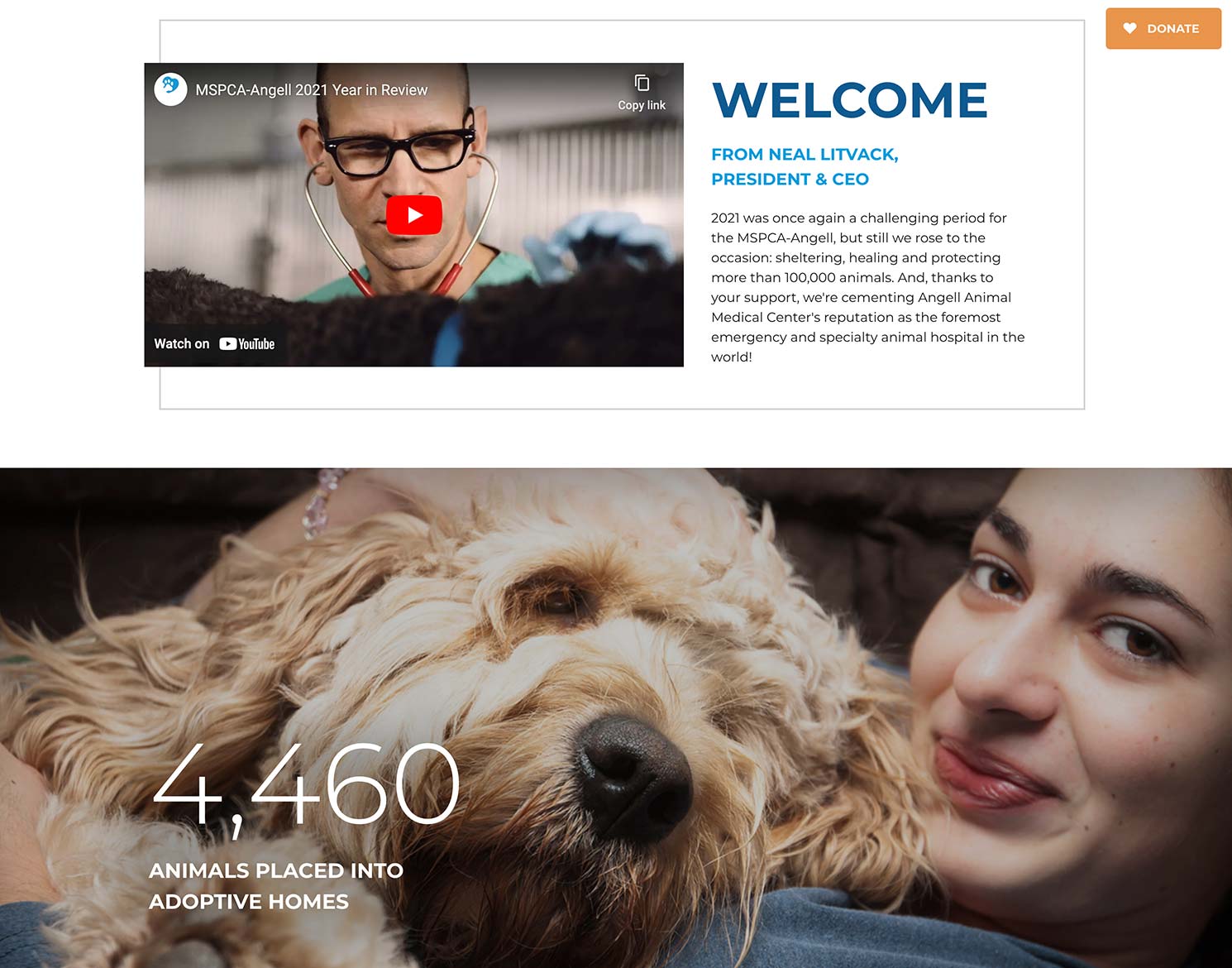 year in review website showing message from President including a video and woman with dog