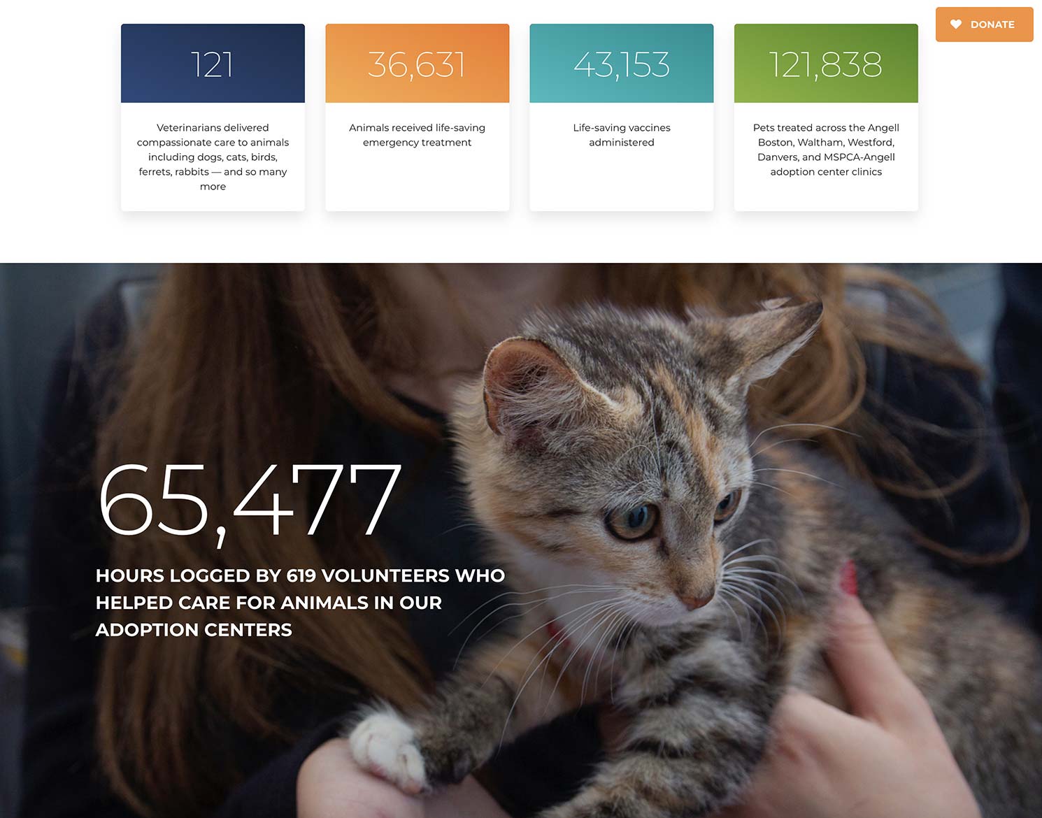 year in review website showing numbers on helping animals with cat in background