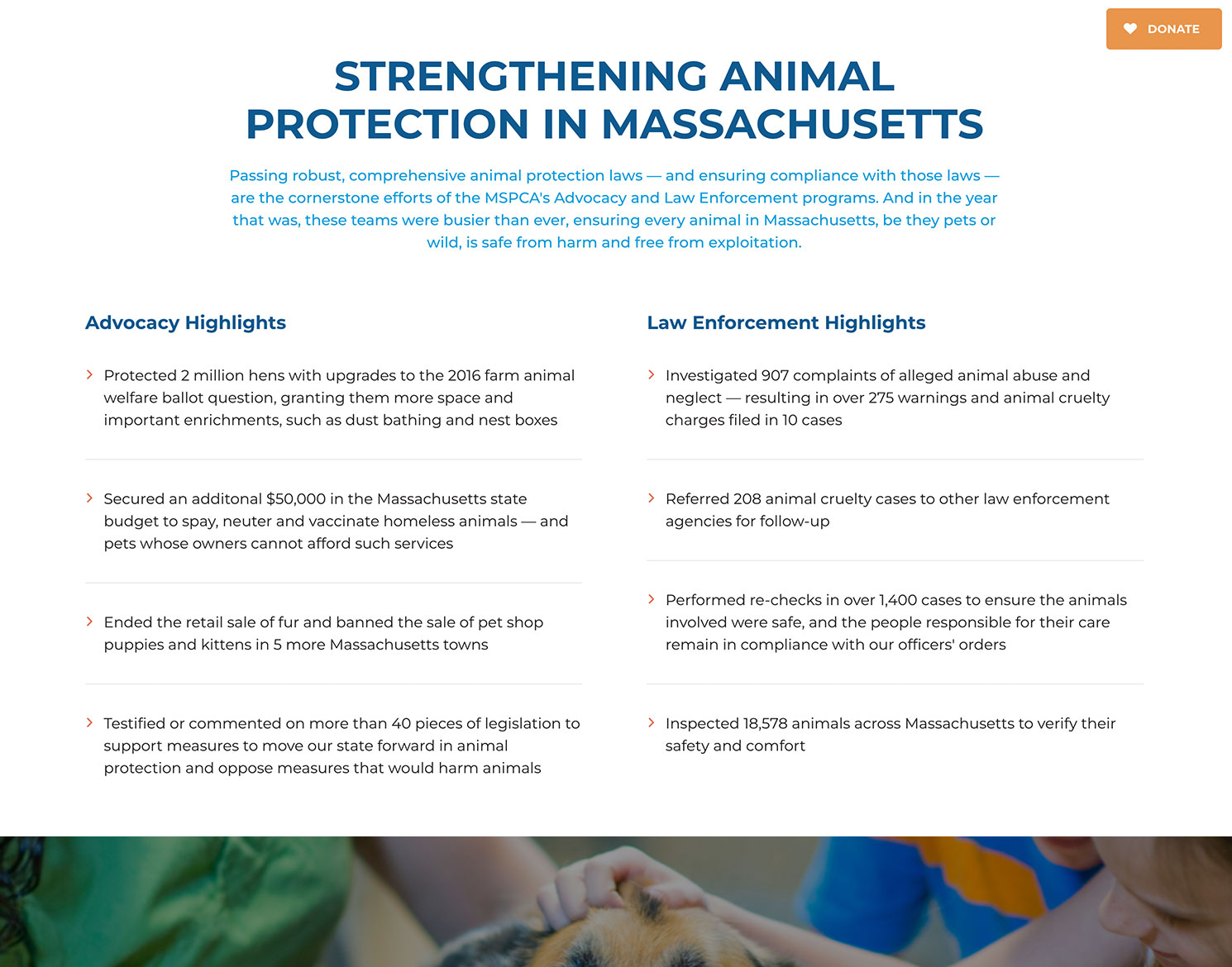 year in review website showing animal protection facts and figures