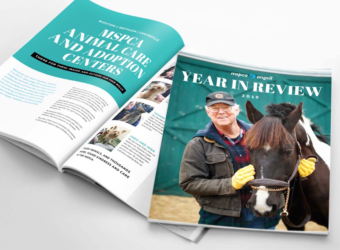 MSPCA-Angell annual report design with man and horse on cover