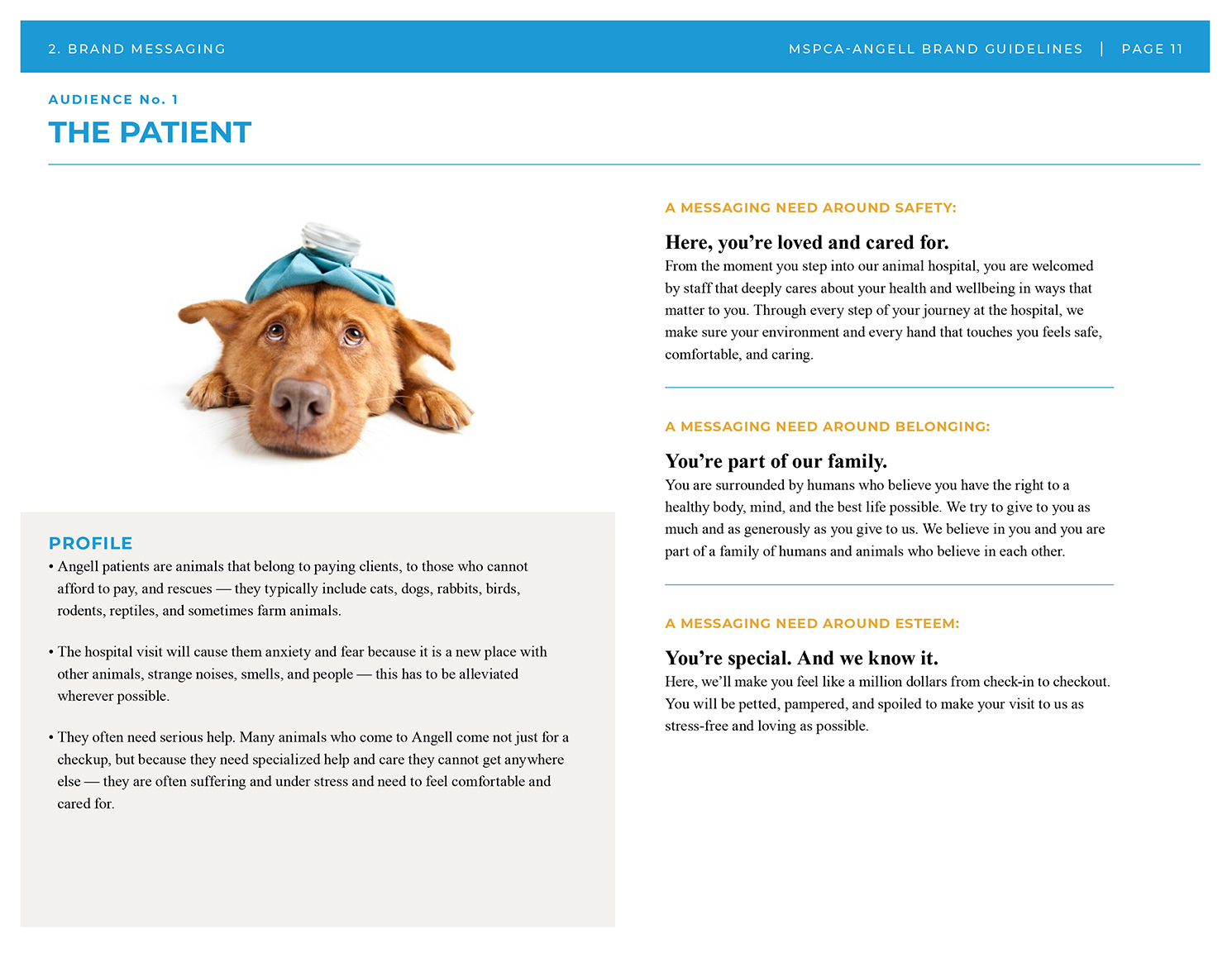 MSPCA-Angell brand guide patient overview of types of animals they treat