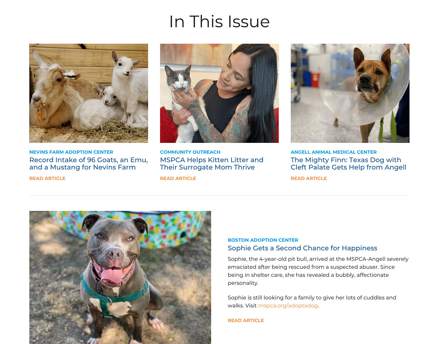 MSPCA-Angell newsletter website showing news stories with cats and dogs