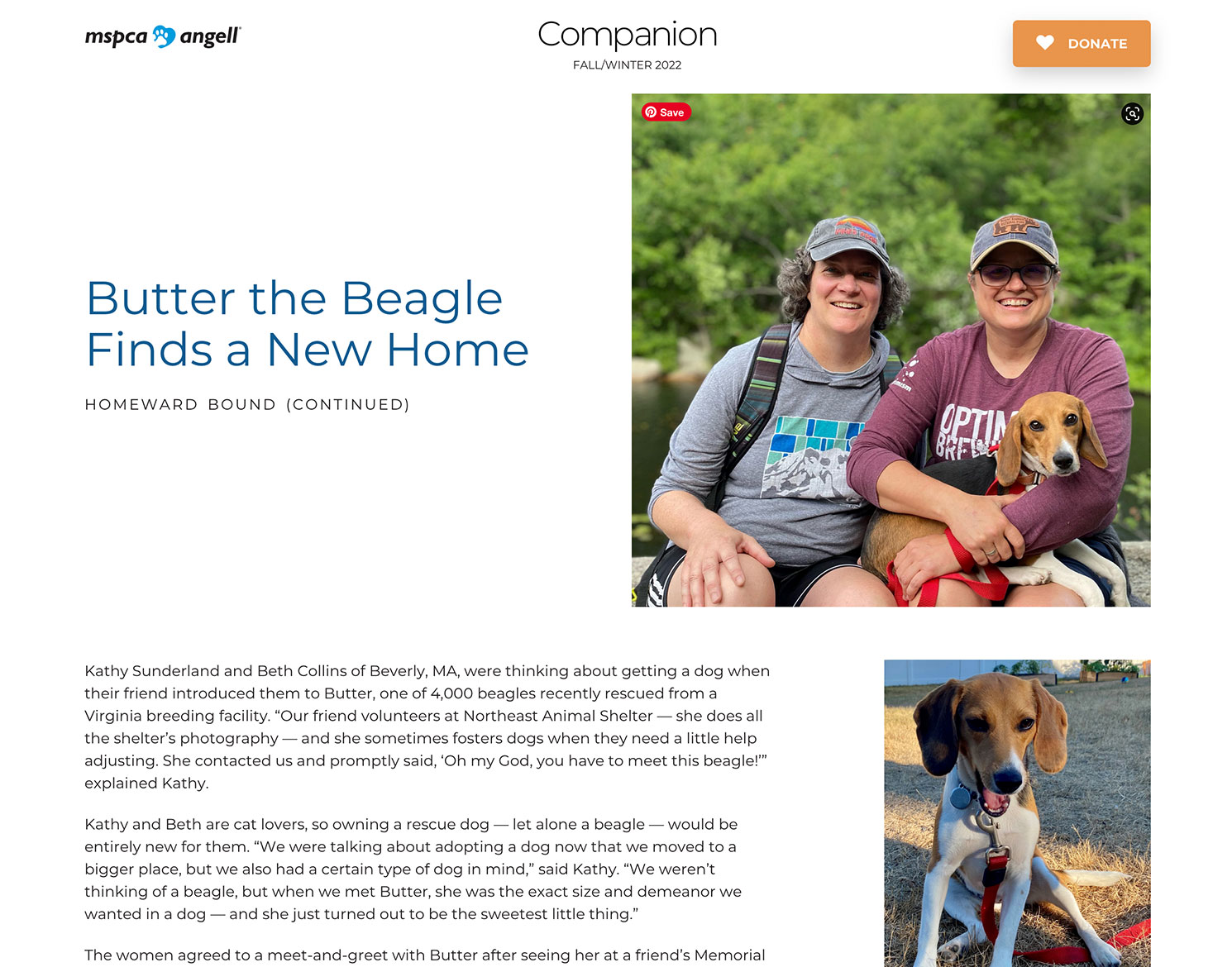 MSPCA-Angell newsletter website with family holding their beagle