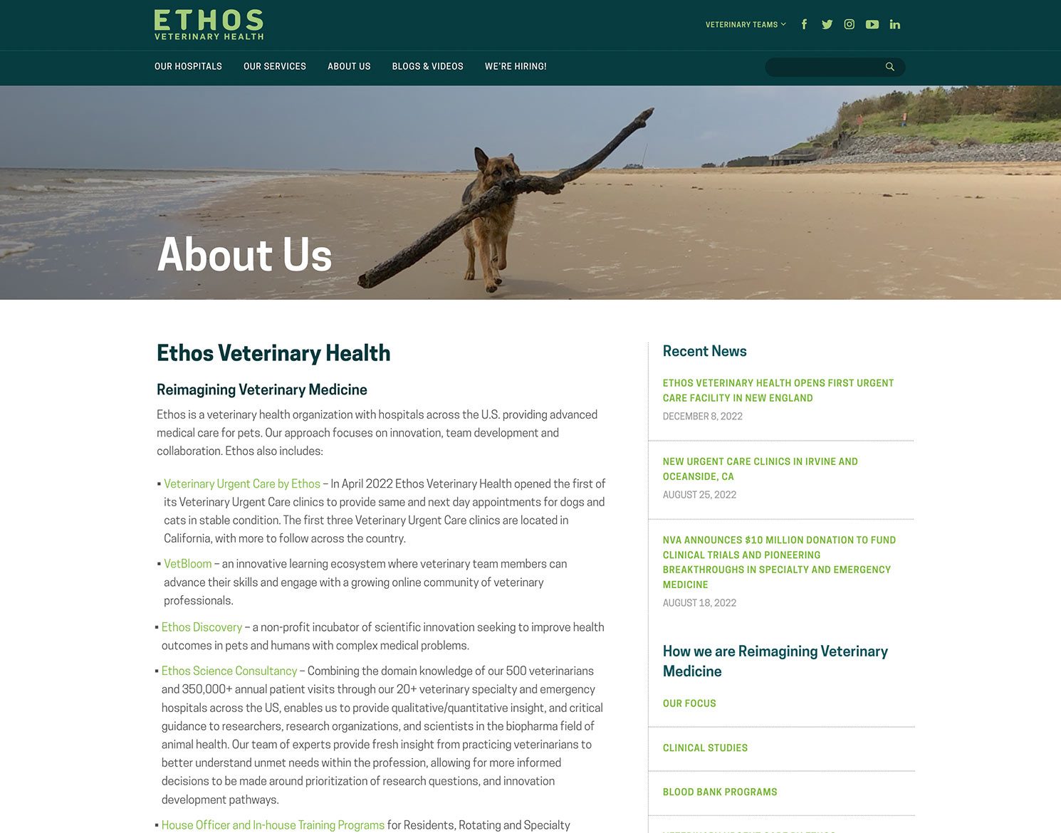 Ethos Main Website Desktop About