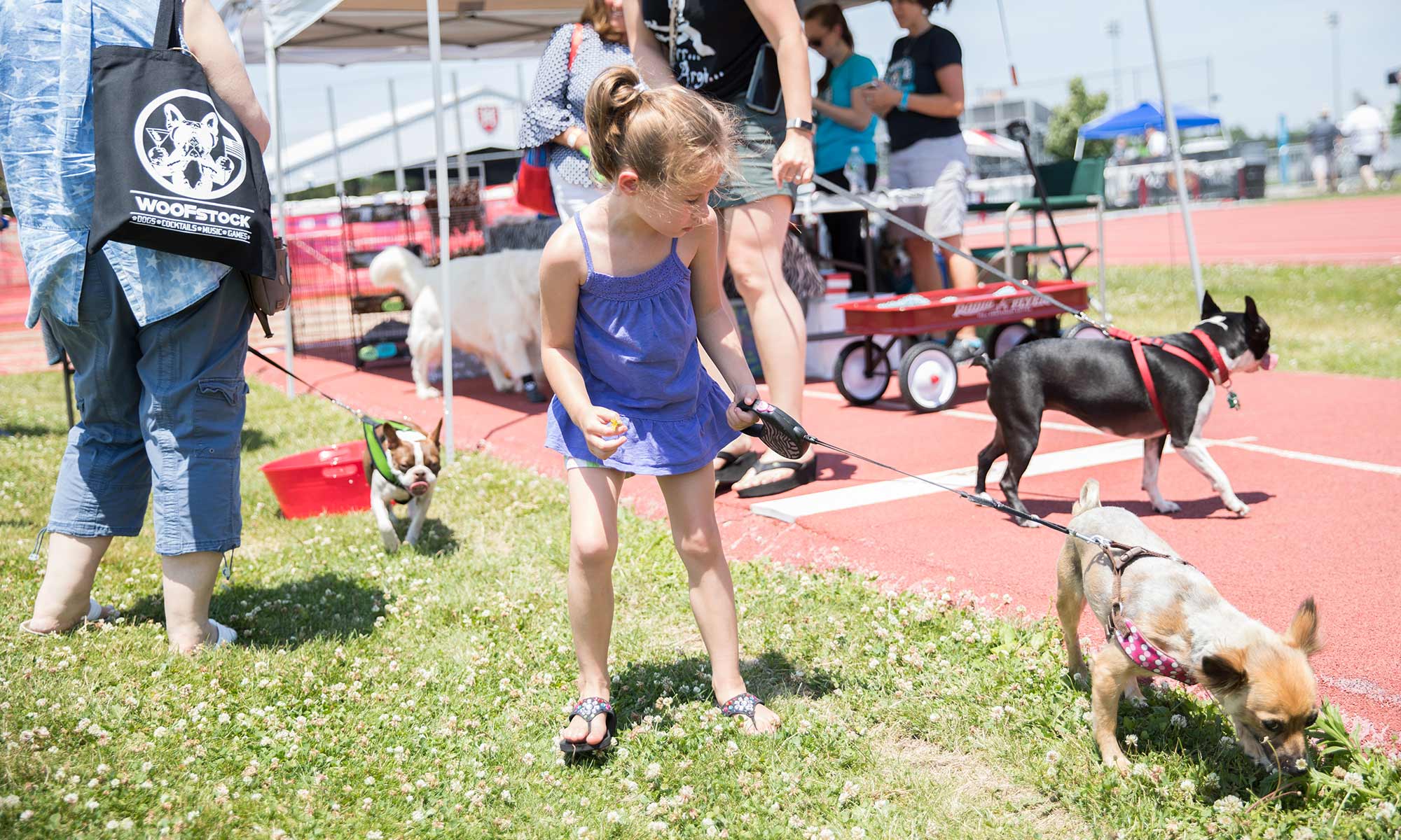 WOOFstock event photography showing child walking a dog on leash