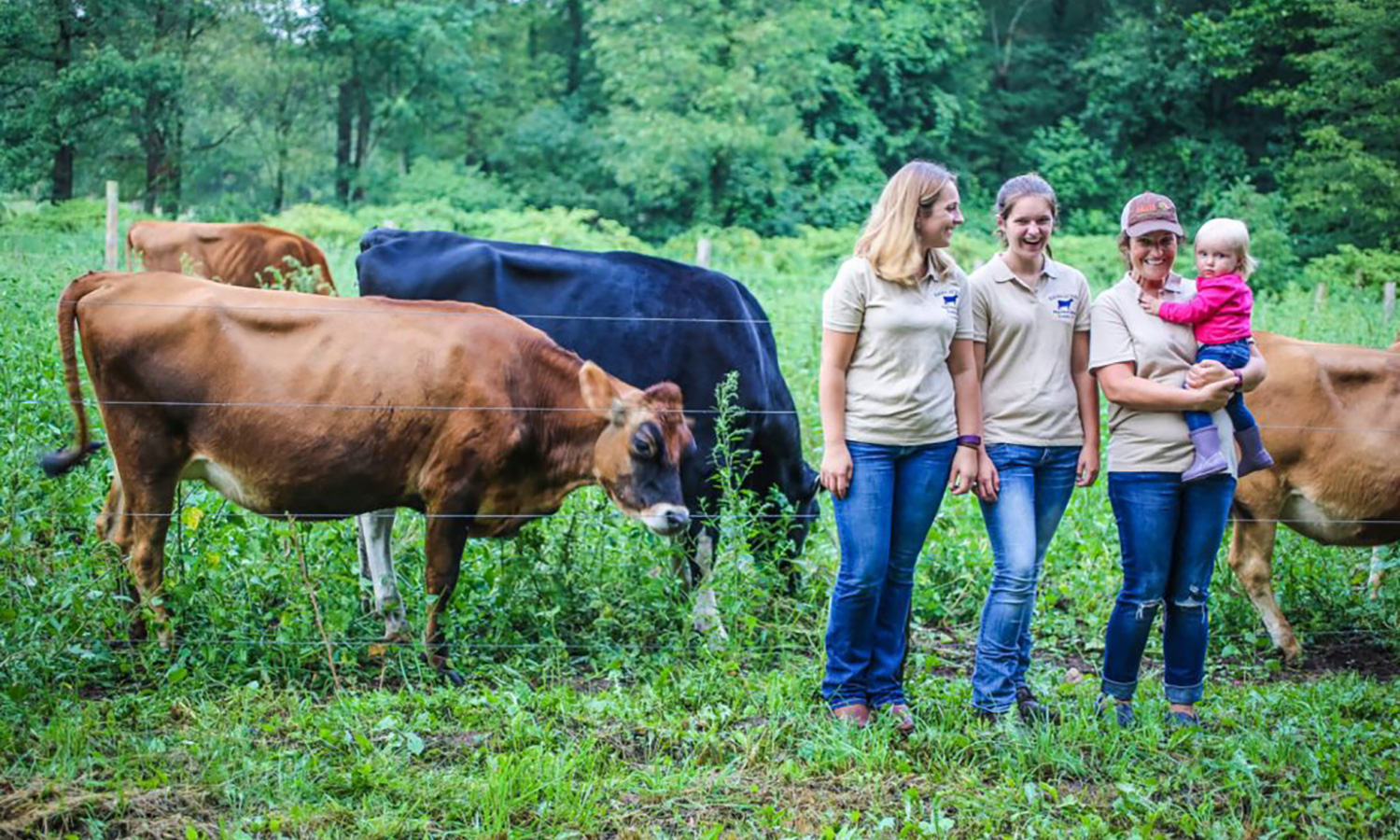 New England Dairy Image Grid family with cows in field