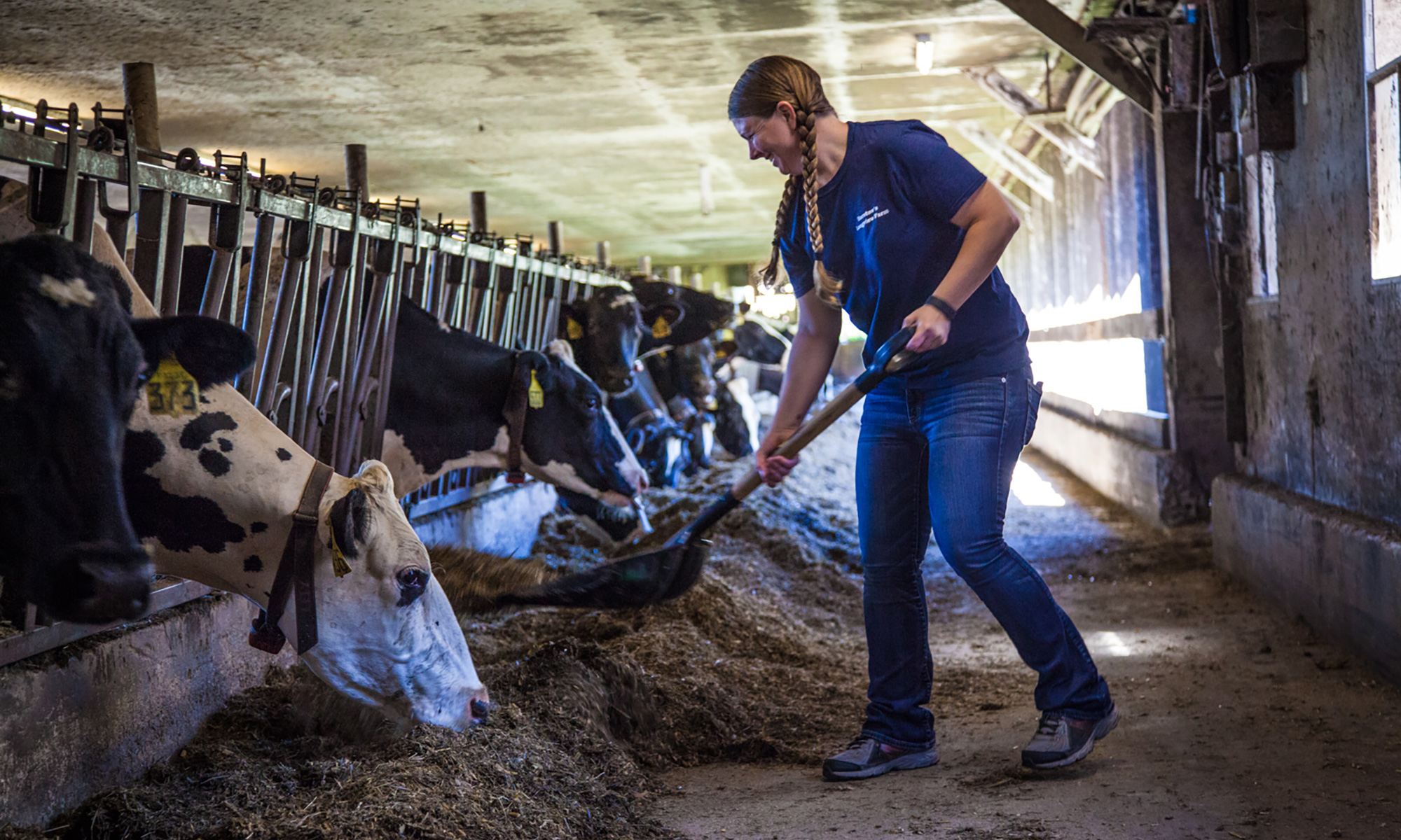 New England Diary Image Grid farmer in barn