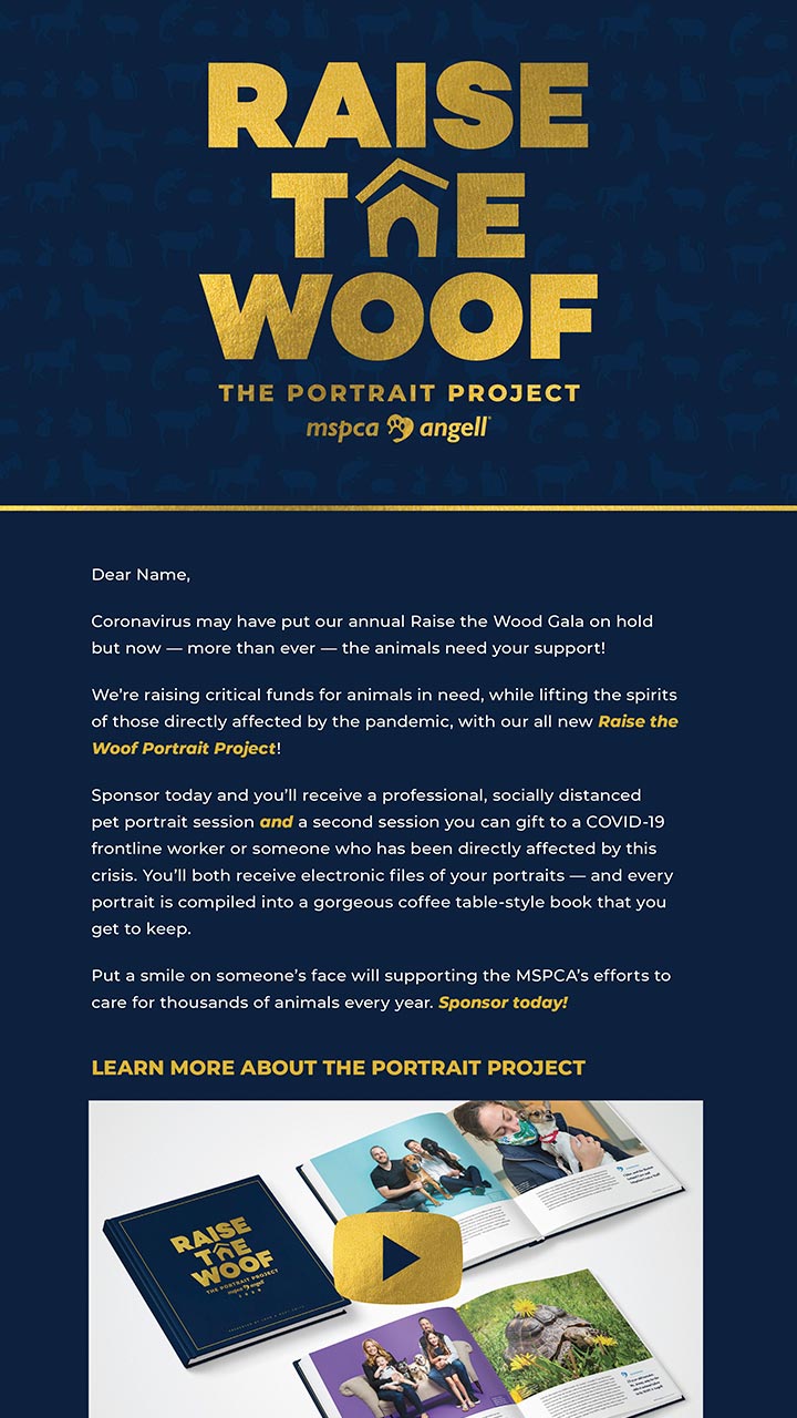 sample emailer design for MSPCA-Angel Raise the Woof fundraiser project