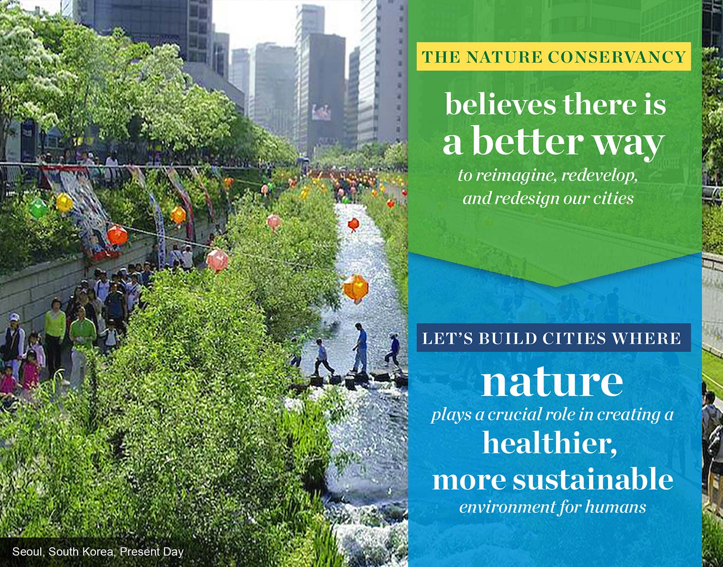 The Nature Conservancy presentation design